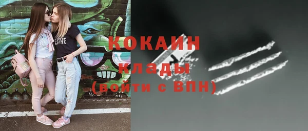 ГАЛЛЮЦИНОГЕННЫЕ ГРИБЫ Дмитровск