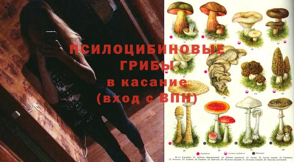 MESCALINE Бородино