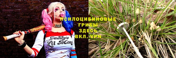 MESCALINE Бородино