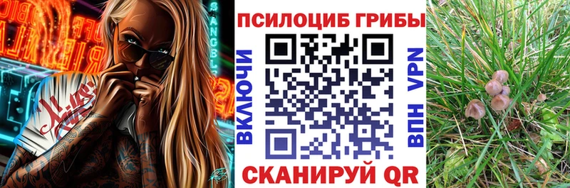 что такое наркотик  omg ТОР  Псилоцибиновые грибы мицелий  Губкинский 